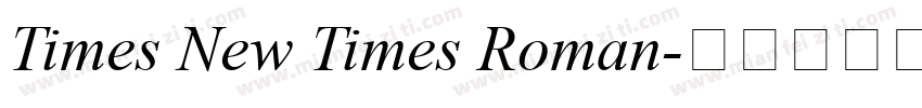 Times New Times Roman字体转换